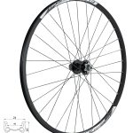 Roata spate 28/29 Force Basic Disc 622x19 6 suruburi